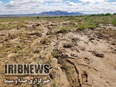 خسارت 399 میلیارد تومانی سیل به بخش کشاورزی