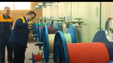 بررسی علت اجرایی نشدن قانون حذف شرکتهای واسطه ای بررسی علت اجرایی نشدن قانون حذف شرکتهای واسطه ای