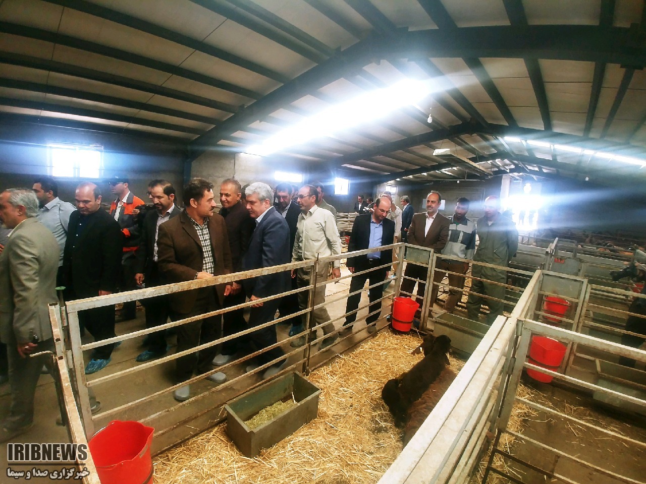 بازدیدمعاون رئیس‌جمهور از شرکت‌های دانش‎بنیان زنجان