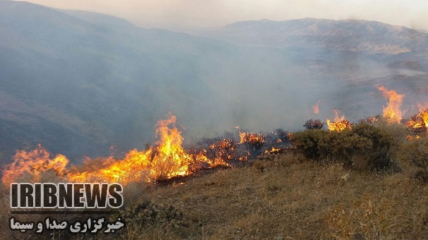 خطرحریق درجنگلها ومراتع