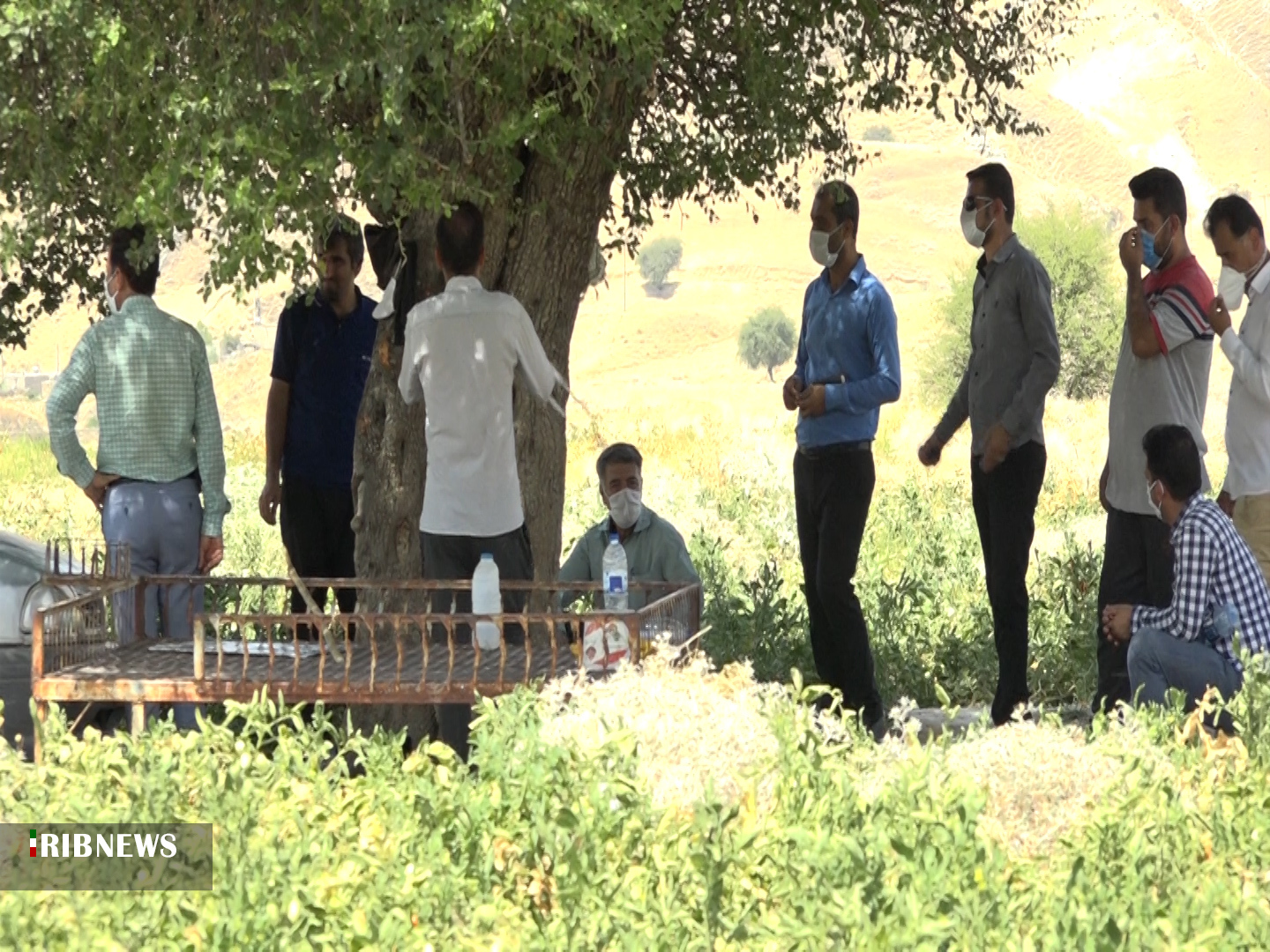 بورس درآمد اول و شغل دوم مردم روستای مال ملا