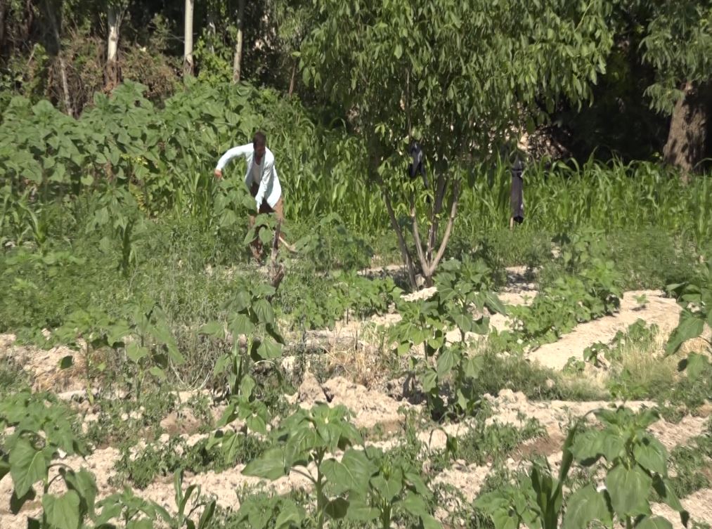 از عمران و ابادانی تا تخریب و بهسازی از عمران و ابادانی تا تخریب و بهسازی