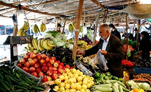 افزایش هزینه حمل و نقل، علت اصلی گران شدن سیفی جات