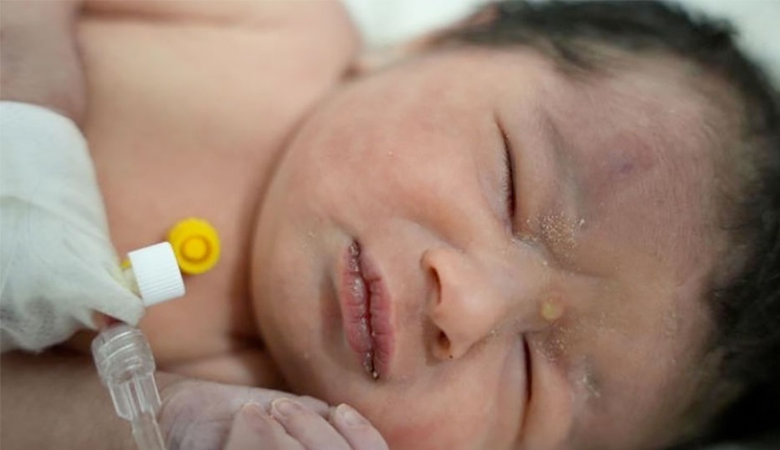 «آیه» در سرزمین مرگ زده متولد شد «آیه» در سرزمین مرگ زده متولد شد