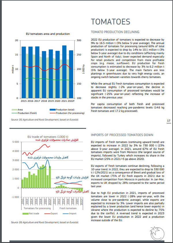 چرا اروپا به تصمیم خود درباره گوجه فرنگی مصمم است؟