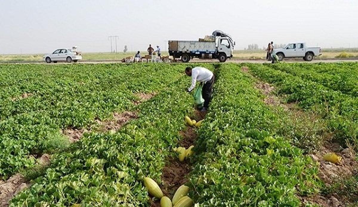 پایان عملیات سرشماری کشاورزی در شوشتر