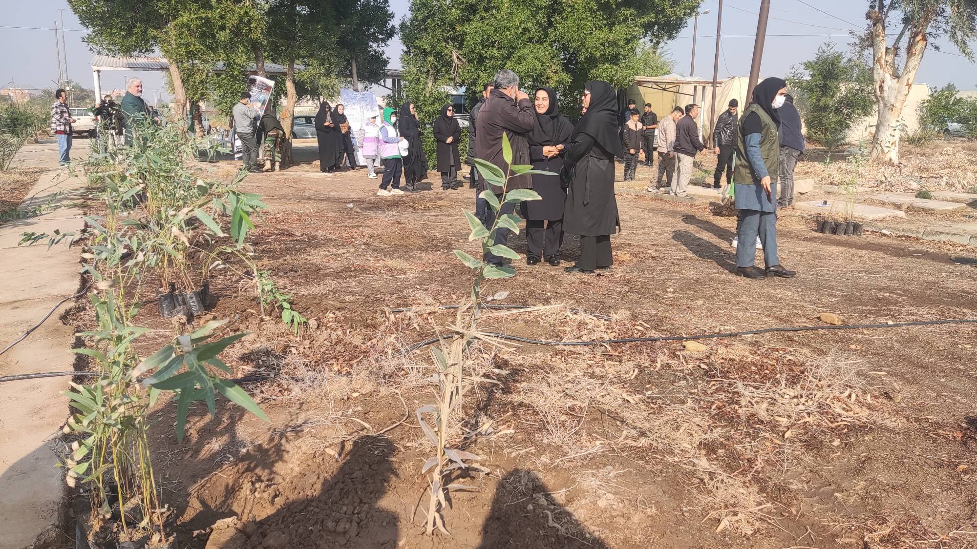 آغاز پویش درختکاری به نام پدر در آبادان