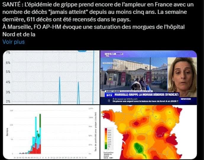 رکورد مرگ و میر ناشی از آنفلوانزا در فرانسه در پنج سال اخیر