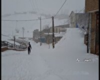 تداوم بارش برف در ارتفاعات سمنان