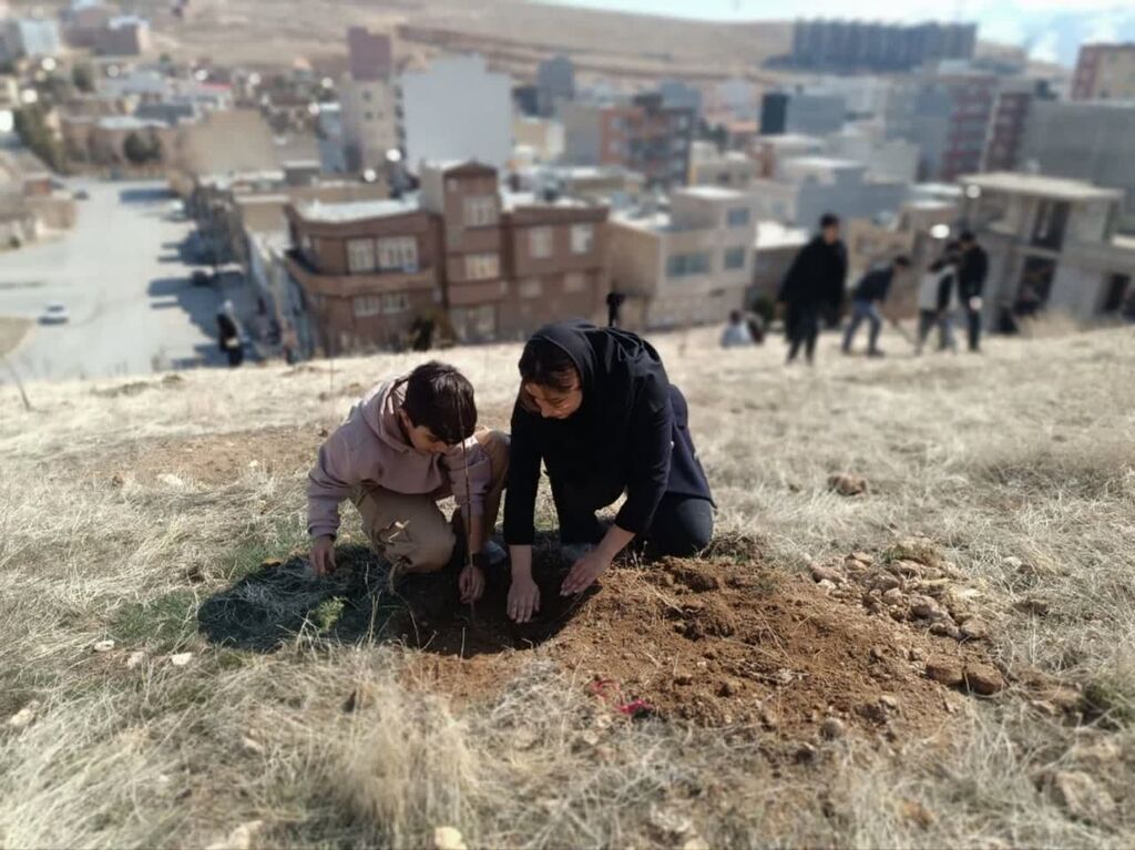 کاشت ۱۰۰ اصله نهال با اجرای طرح فرهنگی و آموزشی سفیران سبز در مهاباد