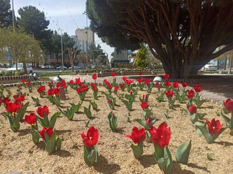 خودنمایی ۸۰ المان نوروزی، بهار امسال در شهر بیرجند