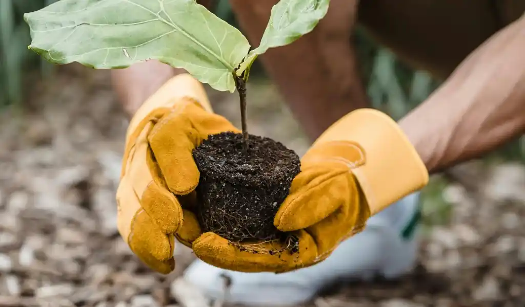 گردشگری سبز؛ مسیر نوین توسعه پایدار در مناطق طبیعی کشور