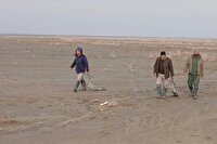 پایش سواحل مشرف به پادگان المهدی در حریم پارک ملی دریاچه ارومیه