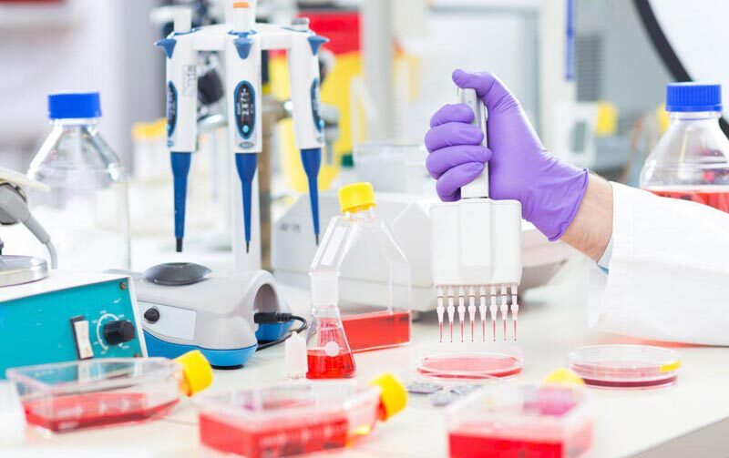 بهبود سریع زخم ها با پانسمانهای هوشمند ایرانی بهبود سریع زخم ها با پانسمانهای هوشمند ایرانی