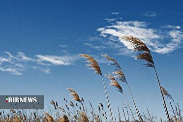 آسمان صاف همراه با وزش باد در قم