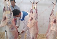 آمادگی ۵۴ تیم نظارتی دامپزشکی خراسان جنوبی در تاسوعا و عاشورای حسینی