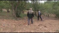 توسعه باغات شهرستان بن به همت بسیج سازندگی