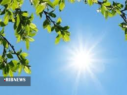 پایداری گرمای هوا تا پایان هفته