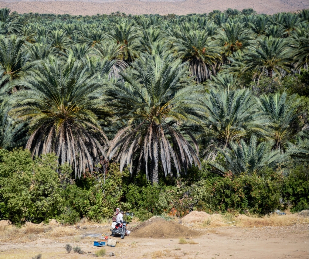 استاندار خوزستان از آغاز عملیات رهاسازی آب از سد مارون برای مقابله با کم‌آبی خبر داد