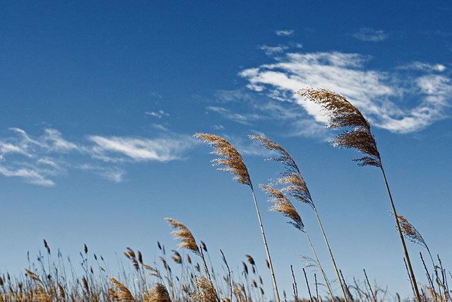 آسمان استان همدان تا آخر هفته صاف تا قسمتی ابری همره با وزش باد آسمان استان همدان تا آخر هفته صاف تا قسمتی ابری همره با وزش باد