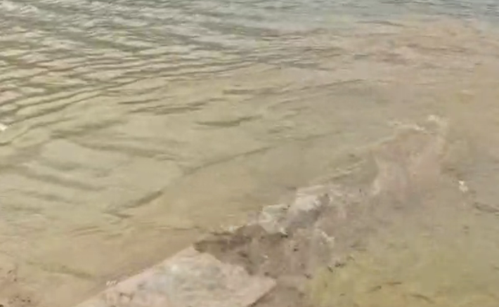 رهاسازی بیش از ۲۰۰ هزار بچه ماهی در دریاچه سد کارون سه