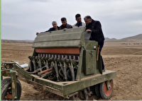 کشت مخلوط نخود علوفه‌ای و جو در چهارمحال و بختیاری