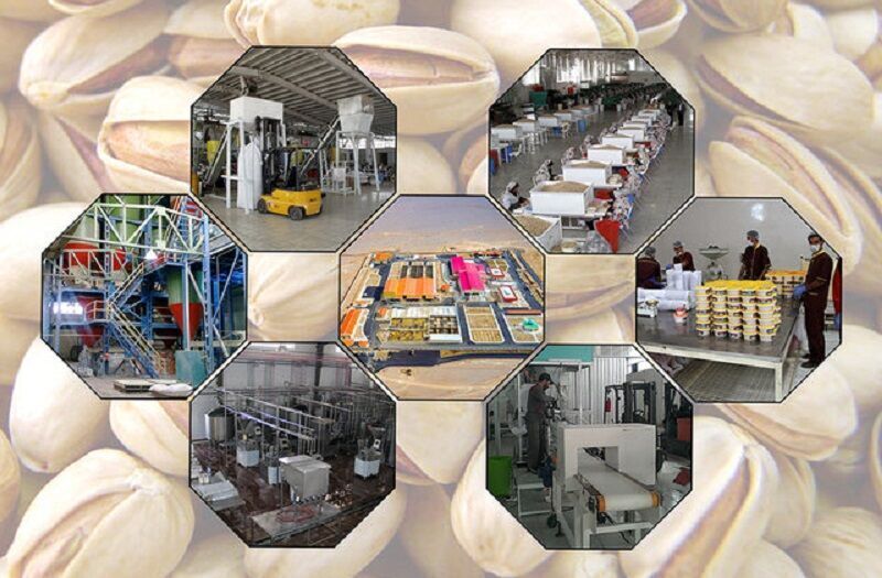 میدان میوه و تره بار و صنایع تبدیلی ؛ حلقه مفقوده باغداری در کهگیلویه و بویراحمد