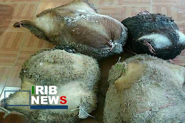 ثبت ملی سه محصول لبنی بومی خراسان شمالی در فهرست ناملموس کشور ثبت ملی سه محصول لبنی بومی خراسان شمالی در فهرست ناملموس کشور