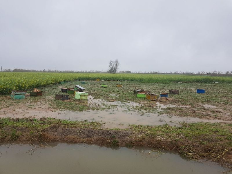 ضرورت لایروبی آبراههها و کانالهای انتقال آب کشاورزی ضرورت لایروبی آبراههها و کانالهای انتقال آب کشاورزی