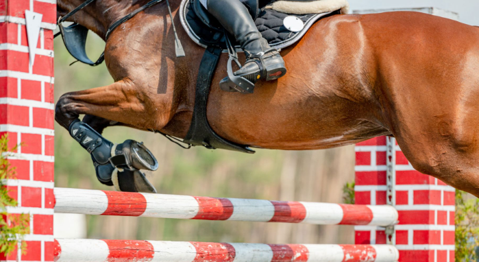 ­برگزاری مسابقات پرش با اسب جام تورماس (ششمین دوره جام بام)