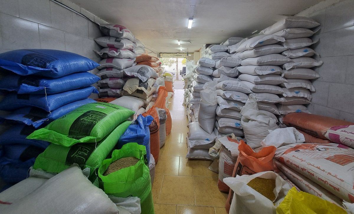 اجرای طرح سه روزه مبارزه با دام و نهاده‌های دامی غیرمجاز در گیلان