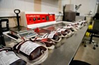 مشارکت چشمگیر بانوان زنجانی در اهدای خون طی جنگ ۴۰ روزه