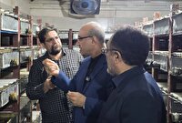 هیچ کمبودی در کالاهای اساسی و پرمصرف نداریم